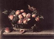 MOILLON, Louise Basket with Peaches and Grapes s France oil painting reproduction